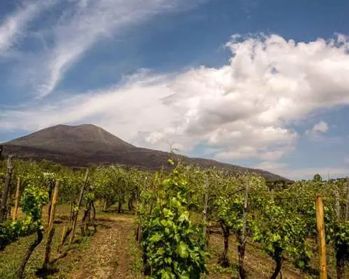 Wine Tasting on Mt. Vesuvius｜Italy