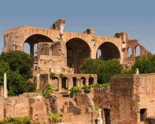 Rome: Roman Forum and Palatine Hill Licensed Guided Tour｜Italy
