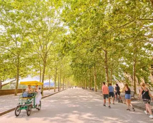 From Montecatini: Pisa & Lucca Day Full Day Tour｜Italy
