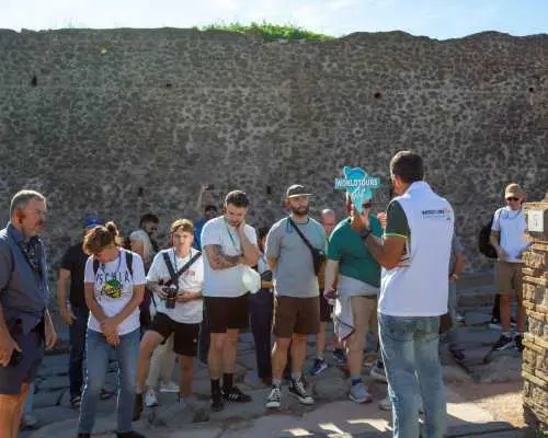 From Pompeii: Skip-the-Line Tour with an Archaeologist｜Italy