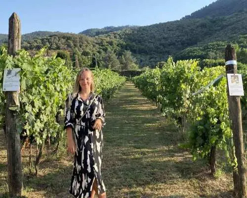 Lucca tour & Pisa tower + Wine Tasting by van from La Spezia｜Italy