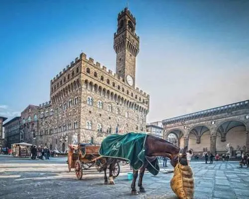 Essential Florence Walking Tour to discover its history｜Italy