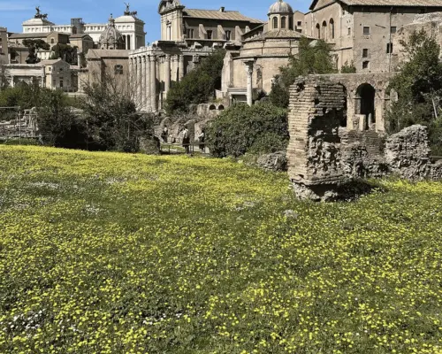 Colosseum, Roman Forum, Palatine Hill｜Italy