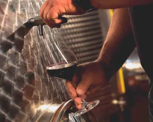 Dogliani: Tasting of 7 Wines in the Heart of the Langhe｜Italy