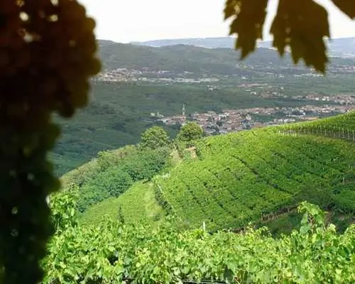 Tour rượu vang Amarone. Tham quan Verona. Khởi hành từ Venice hoặc Treviso | Ý