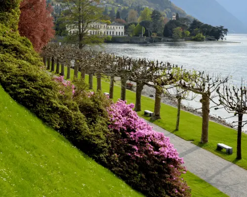 From Milan: Lakeside villas on Lake Como with ferries｜Italy