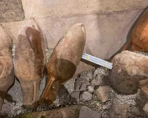Pompeii: Private All-Inclusive Tour from Naples｜Italy