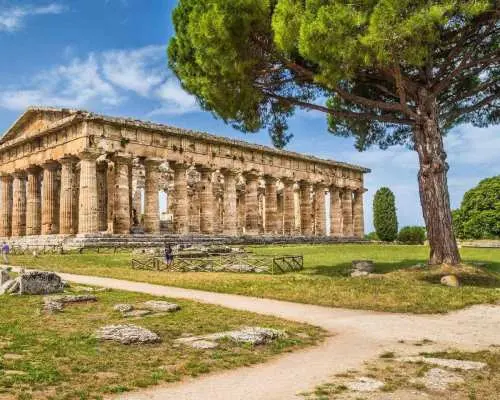 SALERNO: Guided Visit at Paestum Ruins and Museum｜Italy