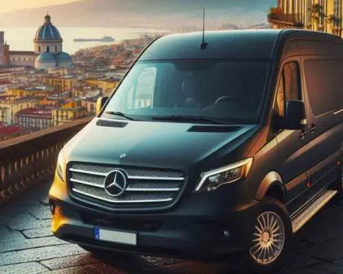 Pompeii private transfer from Naples (or vice versa)｜Italy