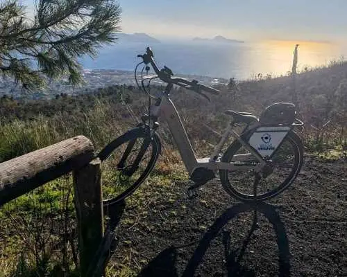 Pompeii+Vesuvio with Audioguide｜Italy