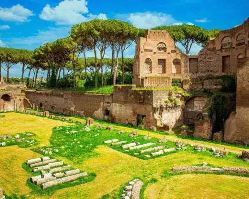 Guided Tour of the Colosseum Palatine Hill and Roman Forum｜Italy