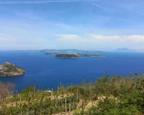 イスキア島：東海岸ハイキング｜イタリア