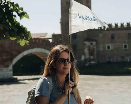 From Venice: Verona, Sirmione & Lake Garda with Boat Cruise｜Italy