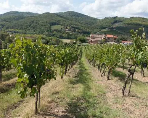 Rome to Tuscany Private Tour – Siena, San Gimignano & Wine｜Italy