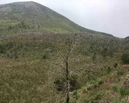 Vesuvius National Park: Valley of Hell Guided Hike｜Italy