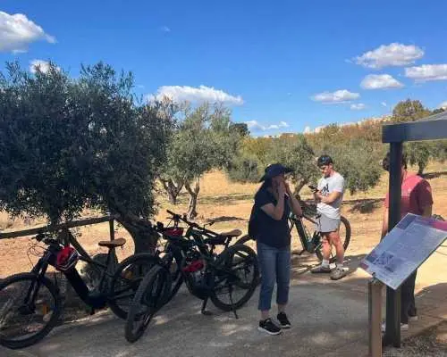AGRIGENTO E-BIKE TOUR: Valley of the Temples, Historic Downtown and Food Experience｜Italy
