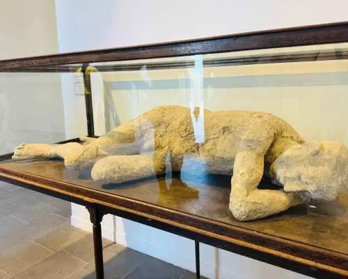 Pompeii: experience with a real archaeologist in a small group｜Italy