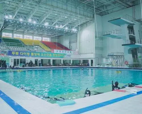 Freediving One-Day Class with Pro Instructor | Daegu