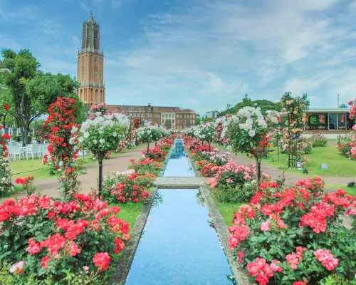 Huis Ten Bosch 2D1N | All-Inclusive:Hotel, Bus, Pass, Meals & Free-flow Drinks
