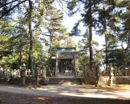 天橋立、神戸牛グルメを堪能する海の鉄道ツアー（大阪発）