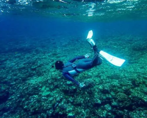 【沖縄・石垣島】海況に合わせてポイント選択｜青の洞窟ビーチシュノーケル｜少人数で安心