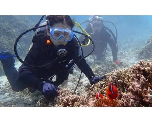 【沖縄・宮古島】一年を通し透明感の高い海域でビーチ体験ダイビング＜ライセンス不要＞