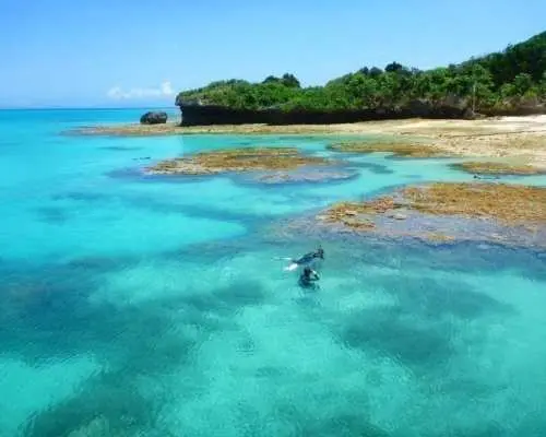 【沖縄・石垣島市街地】ＰＭ幻の島☆浜島上陸付シュノーケリング
