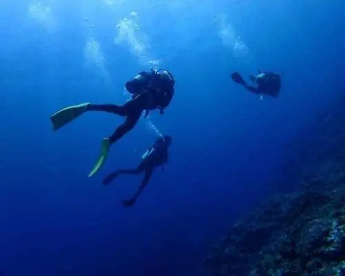 [Okinawa, Ishigaki Island] Refresher course for divers who haven't dived in a while! 2 boat fun dives ♪ Includes transfer and lunch.