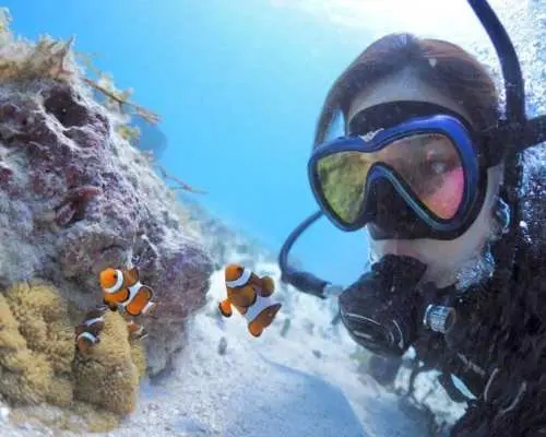 【石垣島・体験】【大型ダイビング専用ボートで快適!】【水中写真無料プレゼント】instagramフォロワー2.5万人のスタッフが思い出つくり