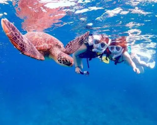 【石垣島】幻の島上陸＆ウミガメ＆サンゴWシュノーケリングB【のんびり1日コース】《GoProレンタル無料》