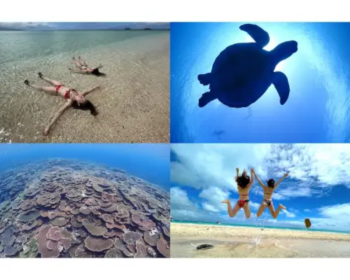 【石垣島】幻の島上陸＆ウミガメ＆サンゴWシュノーケリングB【のんびり1日コース】《GoProレンタル無料》