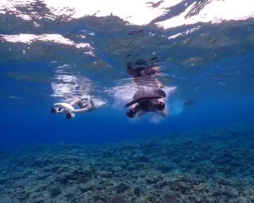[SUP & Snorkeling at a Resort Beach] [Snorkeling] [Clear SUP] Churaumi Snorkeling + SUP Set Tour