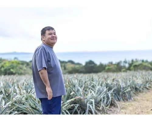 [Okinawa, Ishigaki Island] Beach & Pineapple Experience Photo Wedding ♪ Wedding photos ♪ Beach photoshoot with a pineapple harvesting experience (April to early August)