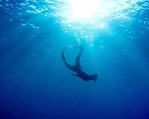[Snorkeling at a resort beach] [Snorkeling] Churaumi Snorkeling Tour