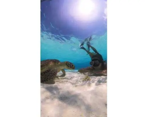 [Okinawa/Miyako Island] Yaebise Reef 4-hour charter (morning/afternoon)