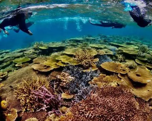[Okinawa, Onna Village] Private kayak tour! Snorkeling by pedal-powered kayak ☆Beginners welcome☆