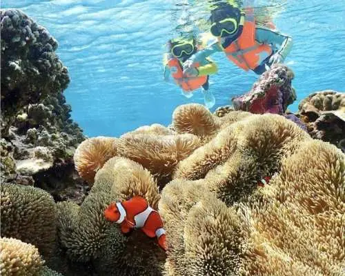 【宮古島・ベビーシッター在籍】0〜70歳までOK！ウミガメ&ニモシュノーケルツアー★所要時間1,5時間 ＜写真データ無料無制限＞初心者◎
