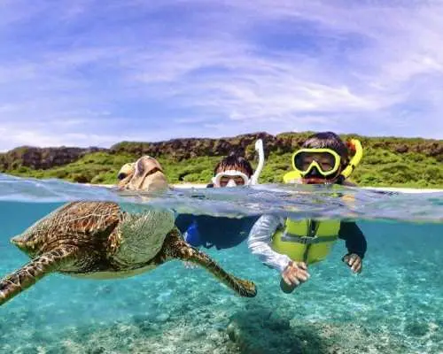 [Miyako Island | Same-day reservations OK] Sea turtle & beautiful ocean snorkeling! Observe beautiful tropical fish too! Includes high-resolution photos.