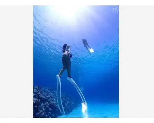 【沖縄・宜野湾マリーナ発】完全貸切ボートチャーター【素潜り・スキンダイビング・慶良間チービシ・３.５時間コース】ファミリーやグループに人気！