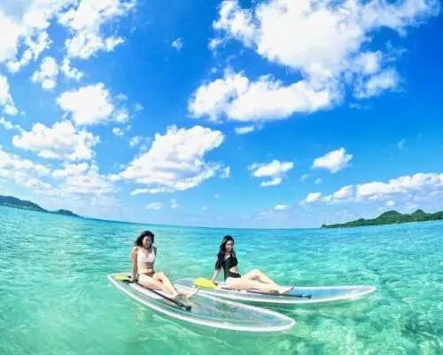 【石垣島/2時間】石垣ブルーを満喫！ クリアSUPクルーズ《GoPro写真データ無料》ドローン撮影オプションあり