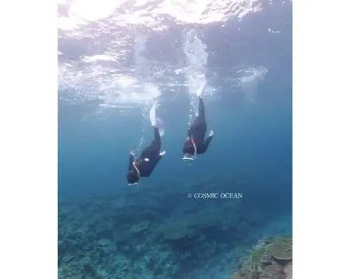 Departing from Sesoko Beach! [Beginners and experienced divers welcome] Experience your first skin diving by banana boat! Perfect for a trip to or from Churaumi Aquarium.
