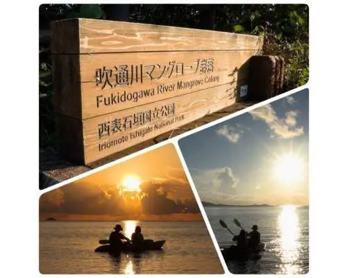 [ทัวร์เกาะอิชิงากิ/ทัวร์กลุ่มส่วนตัว] ☆ทัวร์ป่าชายเลนและชมพระอาทิตย์ตกฟุกิโตะกาวะ☆ [เหมาะสำหรับเด็กอายุ 1 ปีขึ้นไป] แนะนำเป็นพิเศษสำหรับครอบครัวที่มีเด็ก! กว่า 95% เป็นมือใหม่!