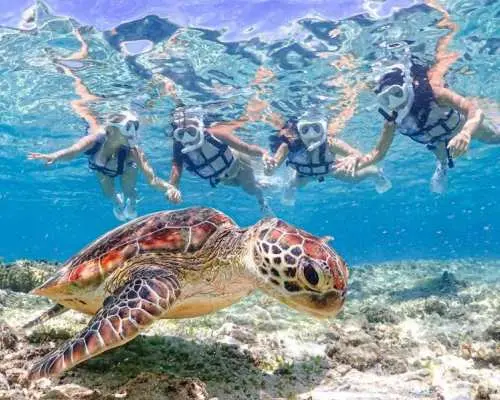 [Miyako Island - Pick-up and Drop-off Available] SET Plan ☆ Snorkeling & SUP | Duration: 3 hours ★ Free photo data, drone photography option ★ Ages 1-70 OK!