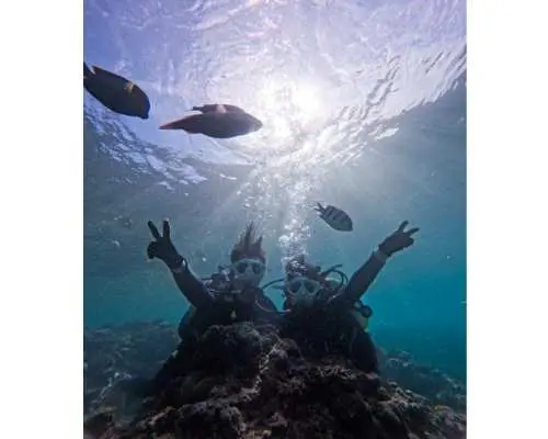 [Blue Grotto] [Limited to 4 slots per day, price ¥4,980] *Beginners only, ages 12 to 45 only* Enjoy a safe and secure first dive with a private instructor!