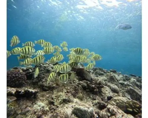 [Blue Grotto] [Limited to 4 slots per day, price ¥4,980] *Beginners only, ages 12 to 45 only* Enjoy a safe and secure first dive with a private instructor!