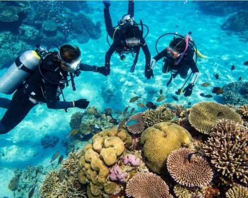 [Onna Village, Okinawa Prefecture] Introductory Diving Tour to the Blue Cave & Introductory Diving Boat Tour Set in Onna Village