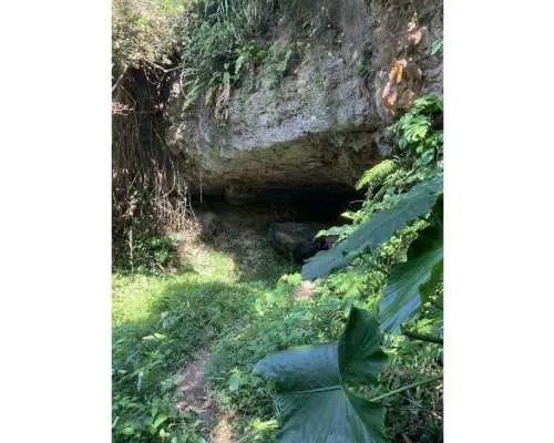 【沖縄・宮古島】 歴史探訪フィールドワークツアー 〜記憶を辿る〜　遺構を巡り“現場”で感じる歴史の時間