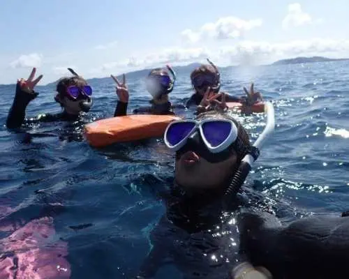 [Departing from Ishigaki City, Okinawa] Special snorkeling tour targeting turtles, manta rays, and exquisite coral reefs