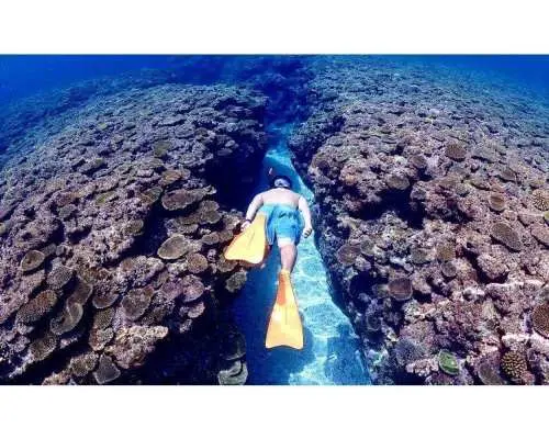 【予約殺到中】宮古島/伊良部島【奇跡のサンゴ礁×ウミガメシュノーケル】”5分で辿り着く秘密の楽園”スペシャルツアー｜ドローン＆水中撮影無料！