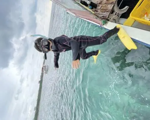 [Departing from Ishigaki City, Okinawa Prefecture] One-day snorkeling tour